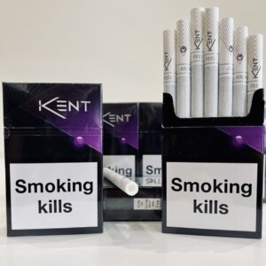 IMG_7569 Kent nano (черника)