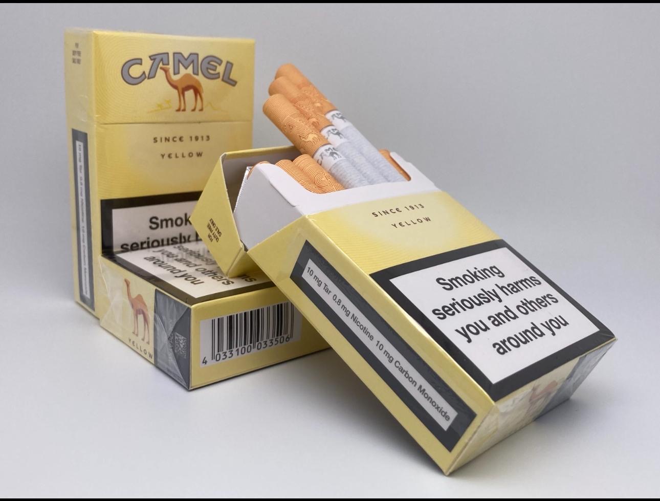 Camel KS квадрат — изображение 3